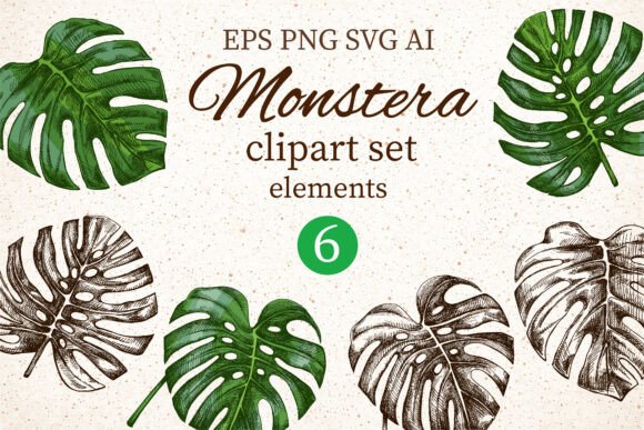 Download Monstera Clipart Set Elements - Premium Bundle